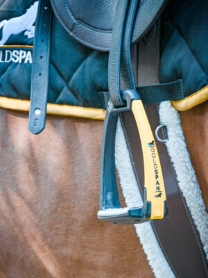 Staffe (Jumping, Polo, Hunter)