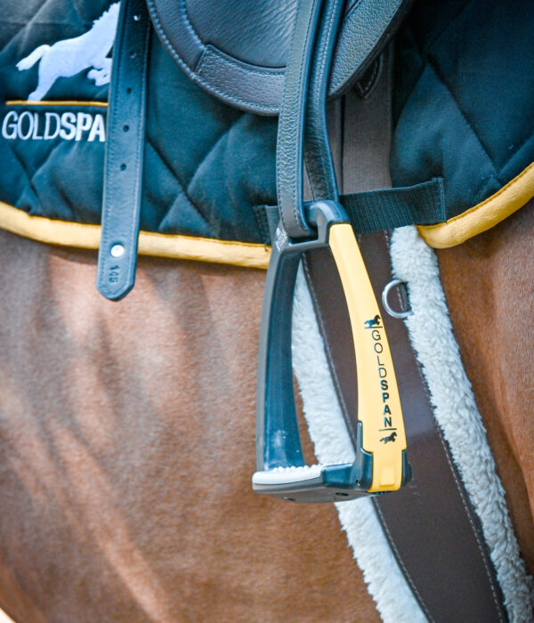 Staffe (Jumping, Polo, Hunter)